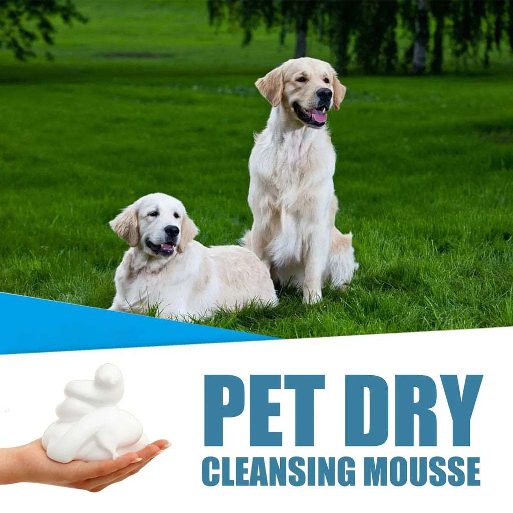 Pet Dry Shampoo Foam for Puppies & Kittens – No Rinse Pet Dry Shampoo Qme