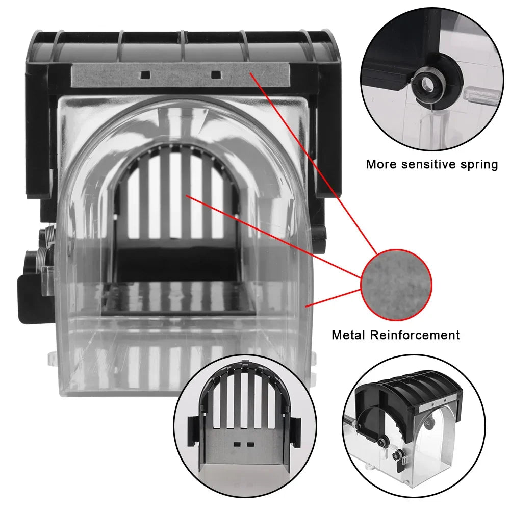 Humane Reusable Mouse Trap – Self-Locking Rodent Catcher Humane Mouse Trap Qst