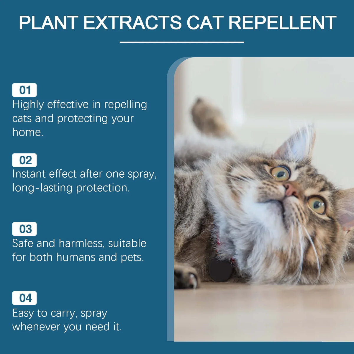 Cat Repellent Spray – Anti-Scratch & Furniture Protector Cat Deterrent Spray Qme