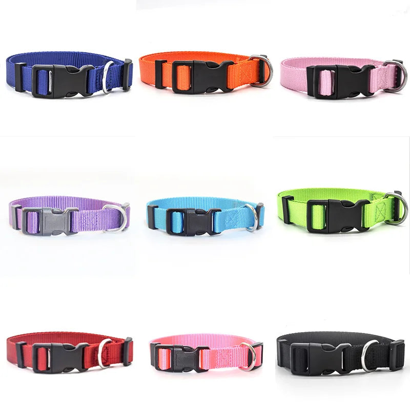 Adjustable Nylon Pet Collar for Puppies, Kittens & Small Dogs Pet Collar Qme