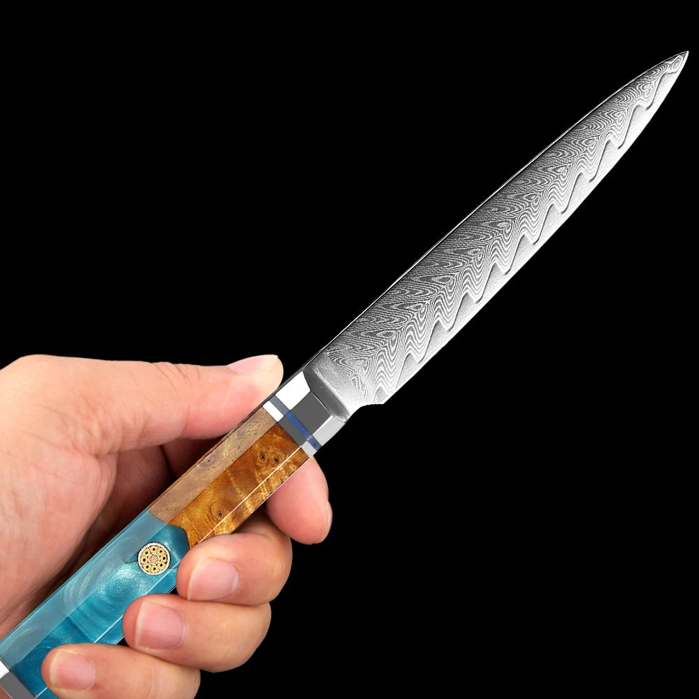 XITUO 5-Inch Damascus Steel Petty Knife – 67-Layer VG10 Damascus Kitchen Knife Qst