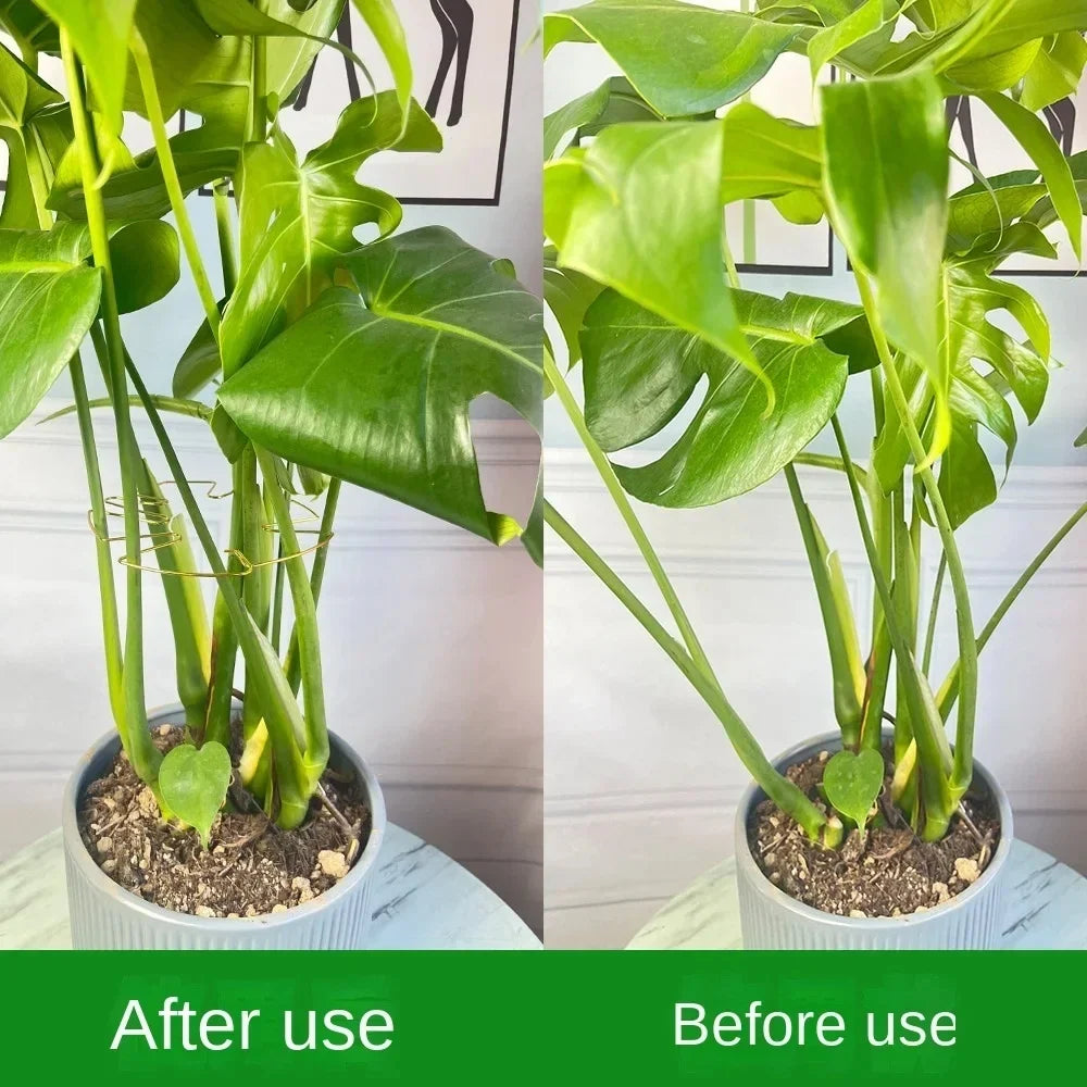 Metal Plant Stem Support Ring for Monstera & Potted Plants Plant Stem Support Ring Qme