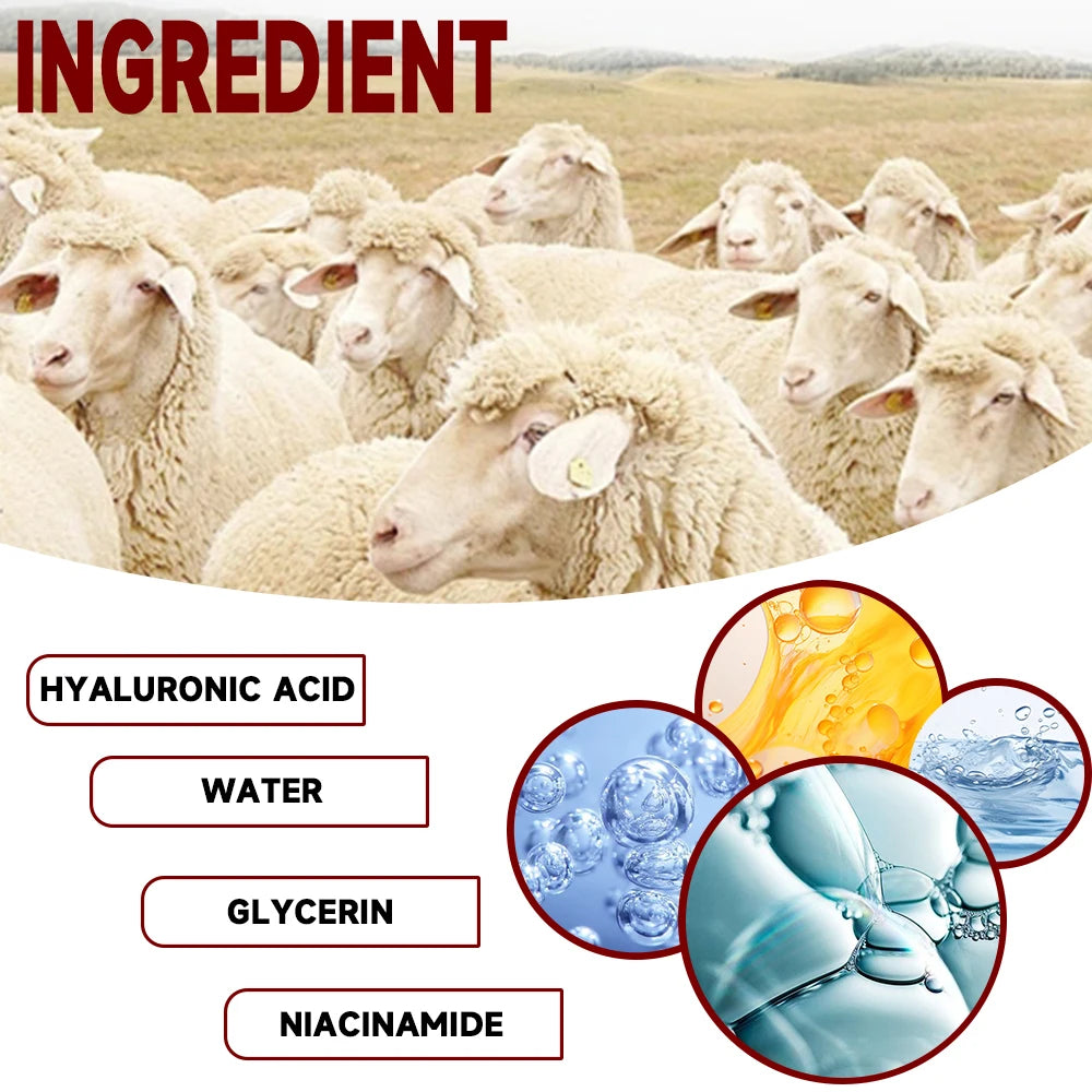 YOUNGCOME Sheep Oil Retinol Anti-Aging Day & Night Cream Anti-Aging Face Cream Qst