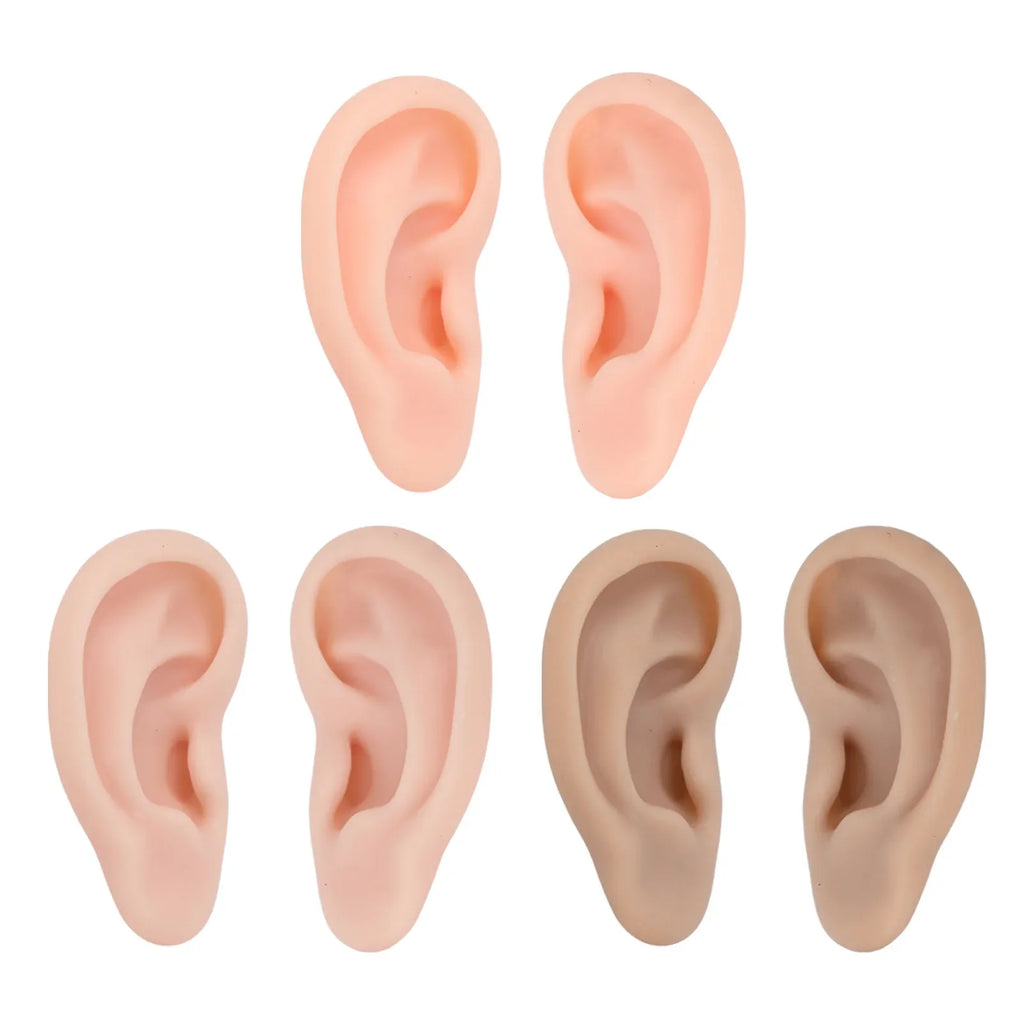 Silicone Ear Model for Earrings Display & Piercing Practice Ear Display Model Qme
