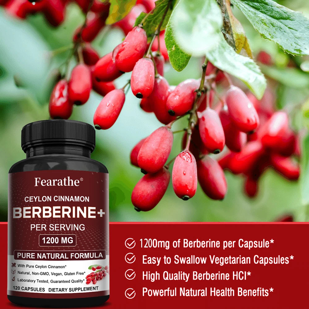 Berberine & Ceylon Cinnamon Capsules | Antioxidant Support Herbal Supplement Qst