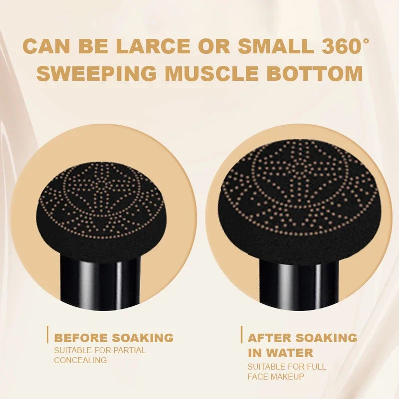 Ocheal BB Cream Air Cushion Compact Foundation & Concealer Air Cushion Foundation Qme