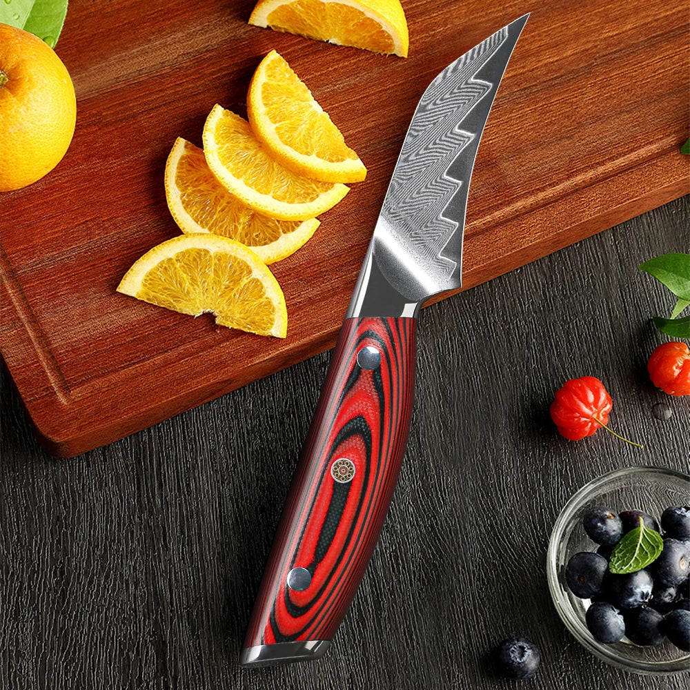 DASHWAY 3" Damascus Steel Paring Knife – VG10, G10 Handle Damascus Paring Knife Qst