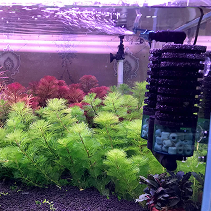 Bio Ceramic Aquarium Filter Media – Hollow Quartz Balls & Rings Aquarium Filter Media Qme