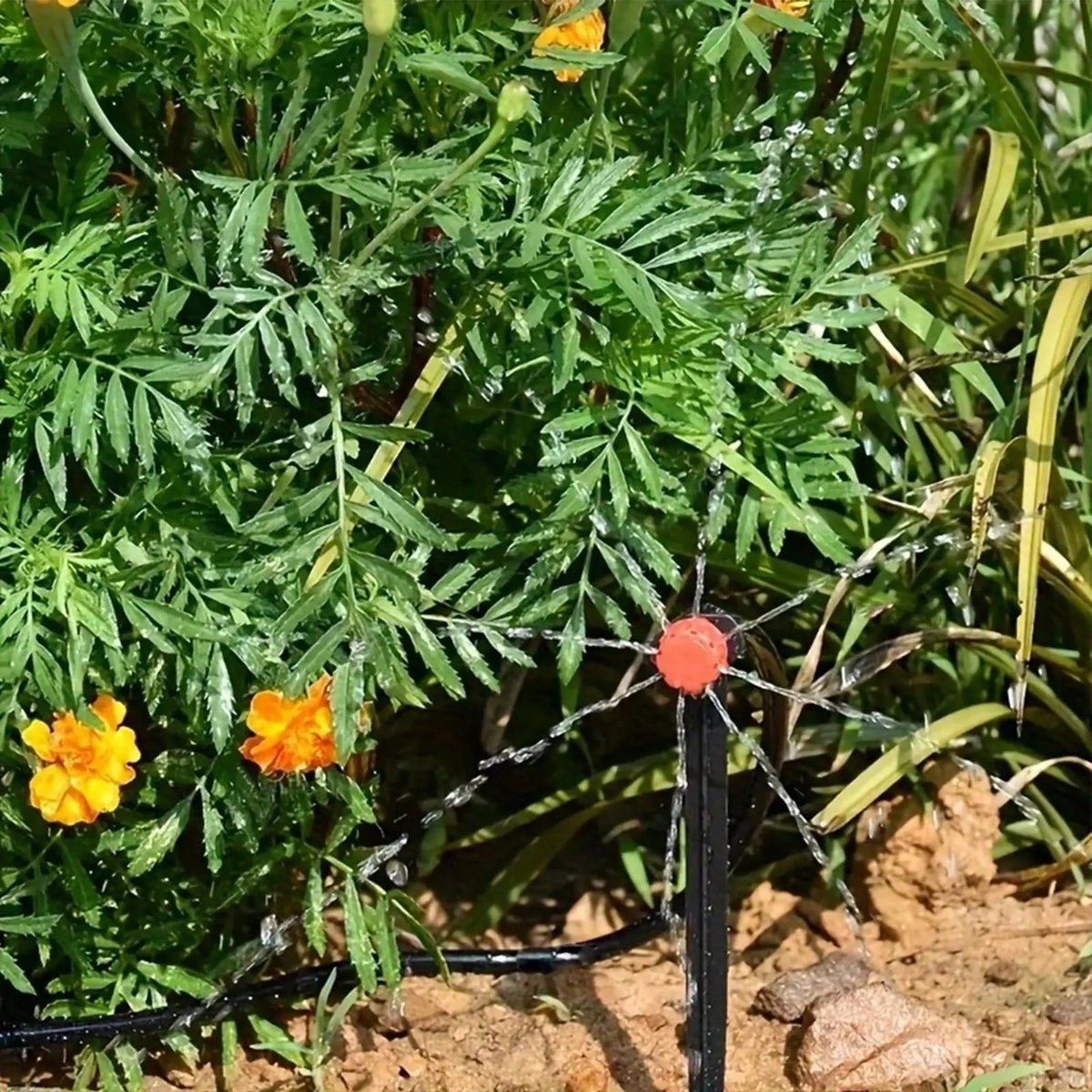 33ft Garden Drip Irrigation System | Quick Connect Hose Kit Drip Irrigation Kit Qme