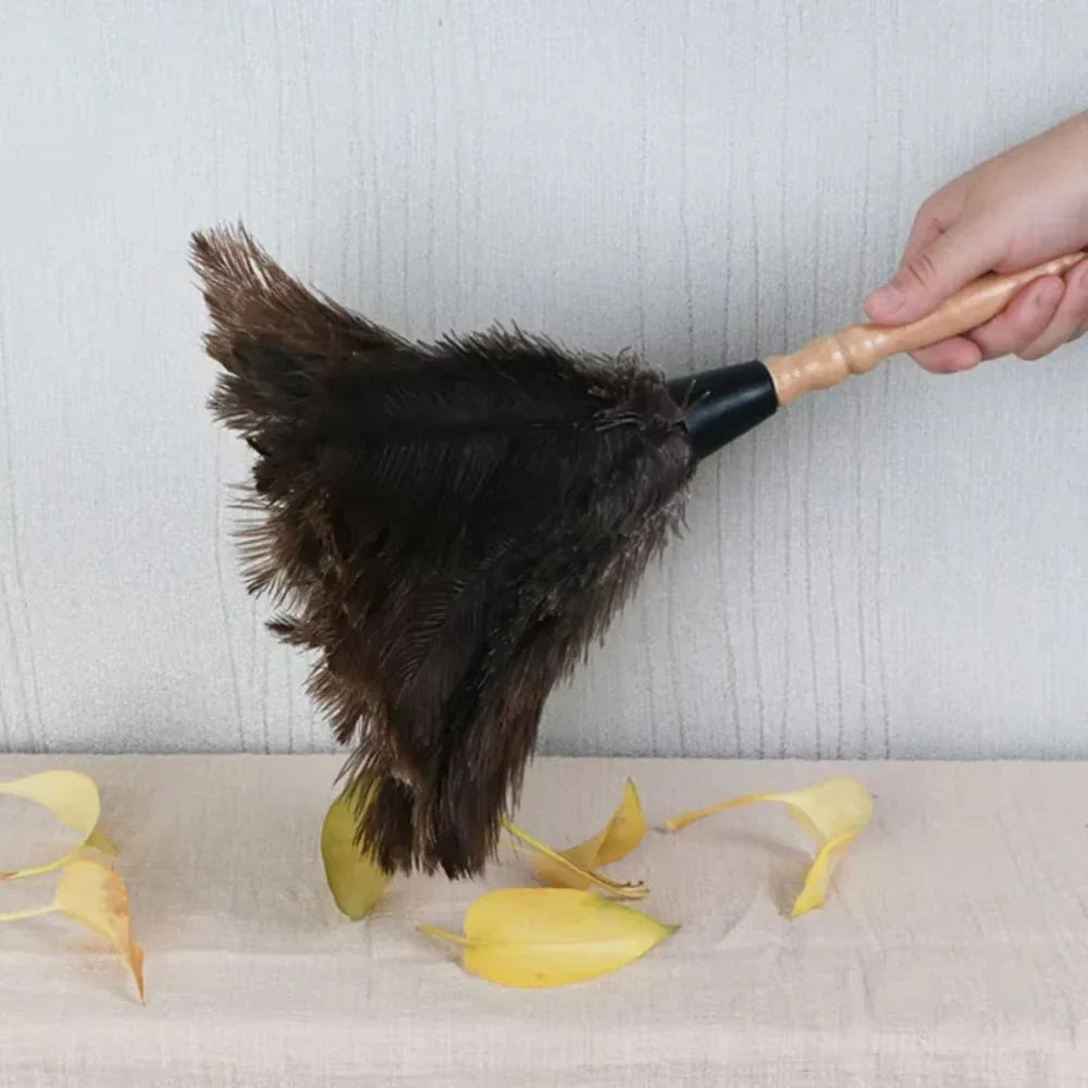 Ostrich Feather Duster – Anti-Static Wooden Handle | White Feather Duster Qme