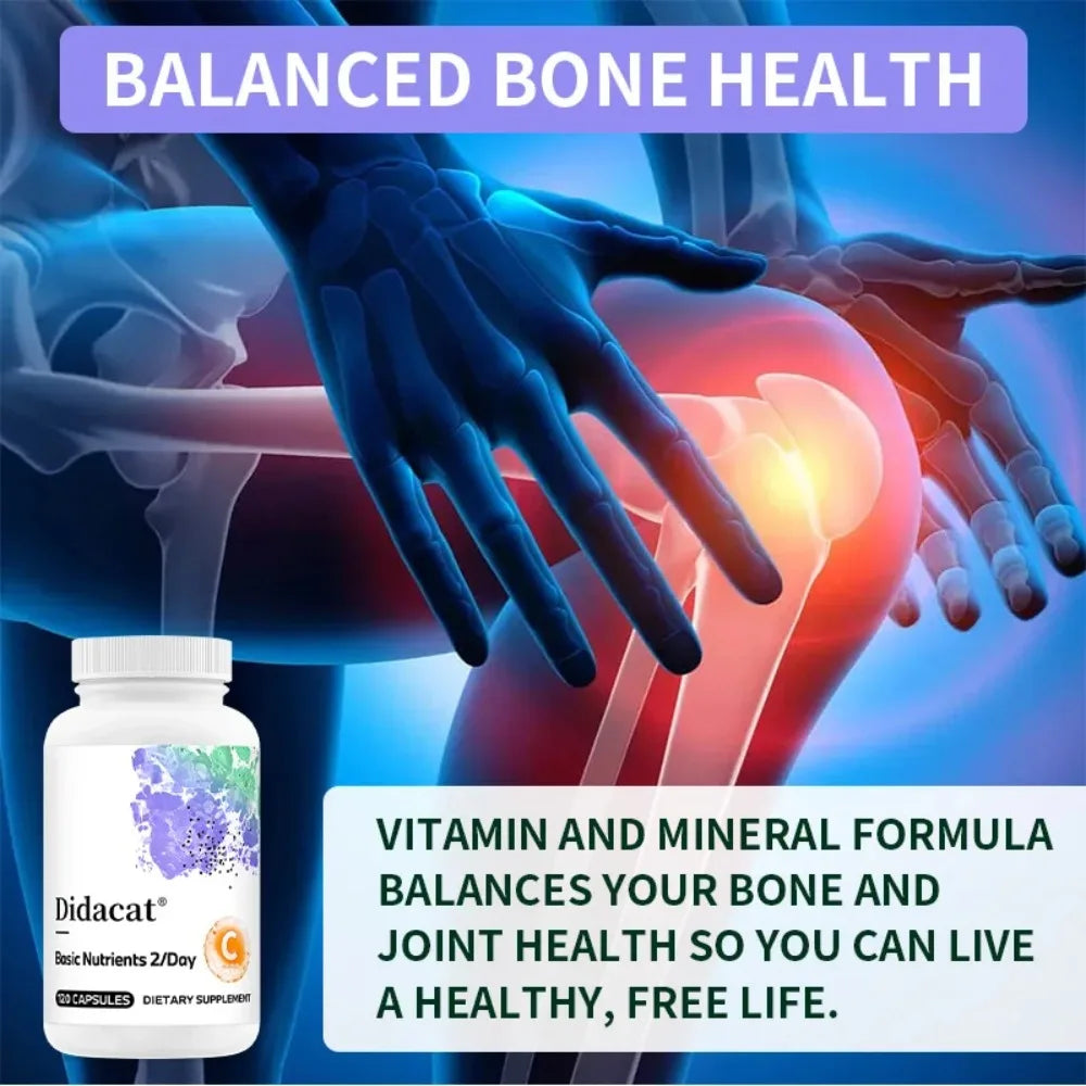Multivitamin & Mineral Capsules – Zinc, D3 & K2 | Didacat Multivitamin Supplement Qst