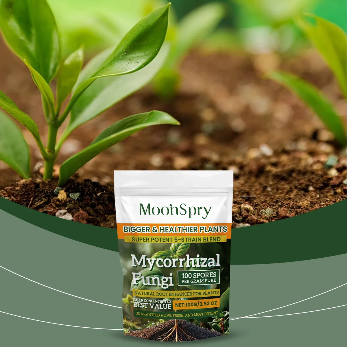Natural Plant Rooting Powder – Root Growth Enhancer 100g Plant Rooting Powder Qme Default Title