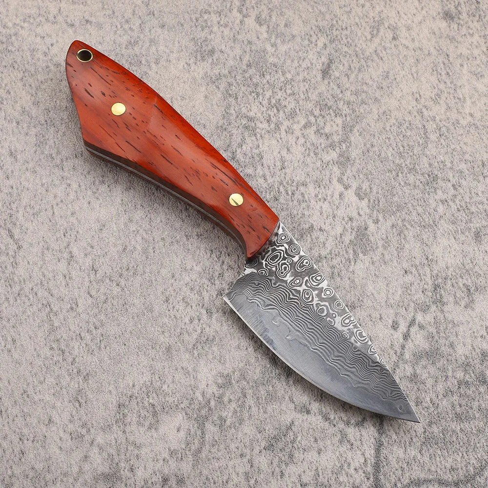 VG10 Damascus Steel Fixed Blade Knife – Sandalwood Handle EDC Fixed Blade Knife Qst