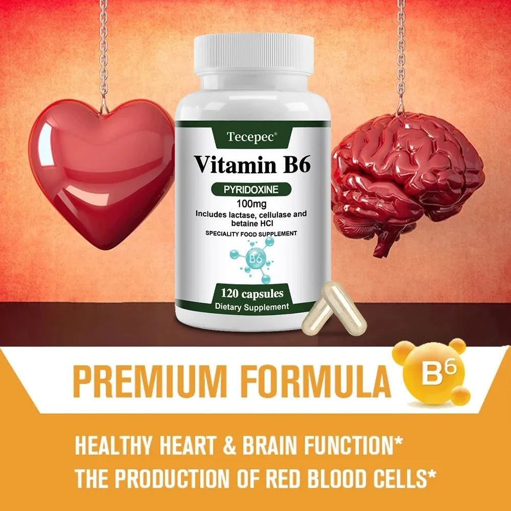 ZENVITALIZE Vitamin B6 Capsules – Non-GMO, Vegetarian Vitamin B6 Supplement Qst