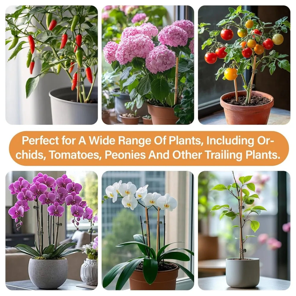 6-Claw Plant Clips 10-Pack | Orchid & Climbing Stem Support Plant Support Clips Qme