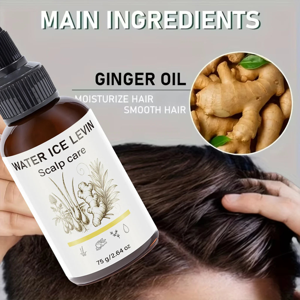 Ginger Infused Scalp Treatment Oil – Daily Hair Care Scalp Treatment Oil Qme