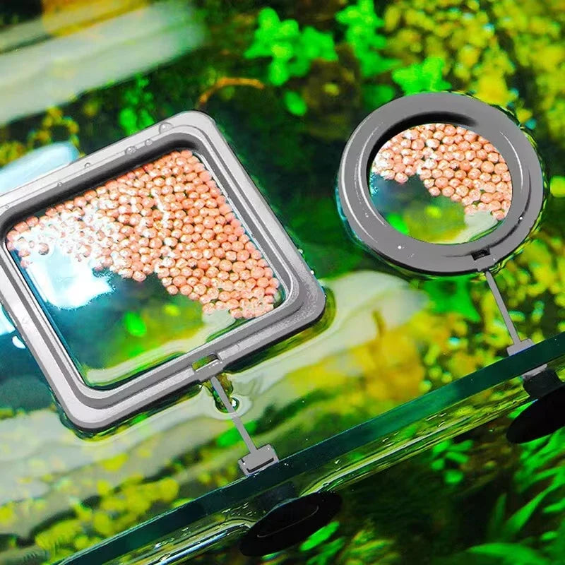 Aquarium Floating Feeding Ring Fish Tank Food Tray Feeder Fish Feeding Ring Qme