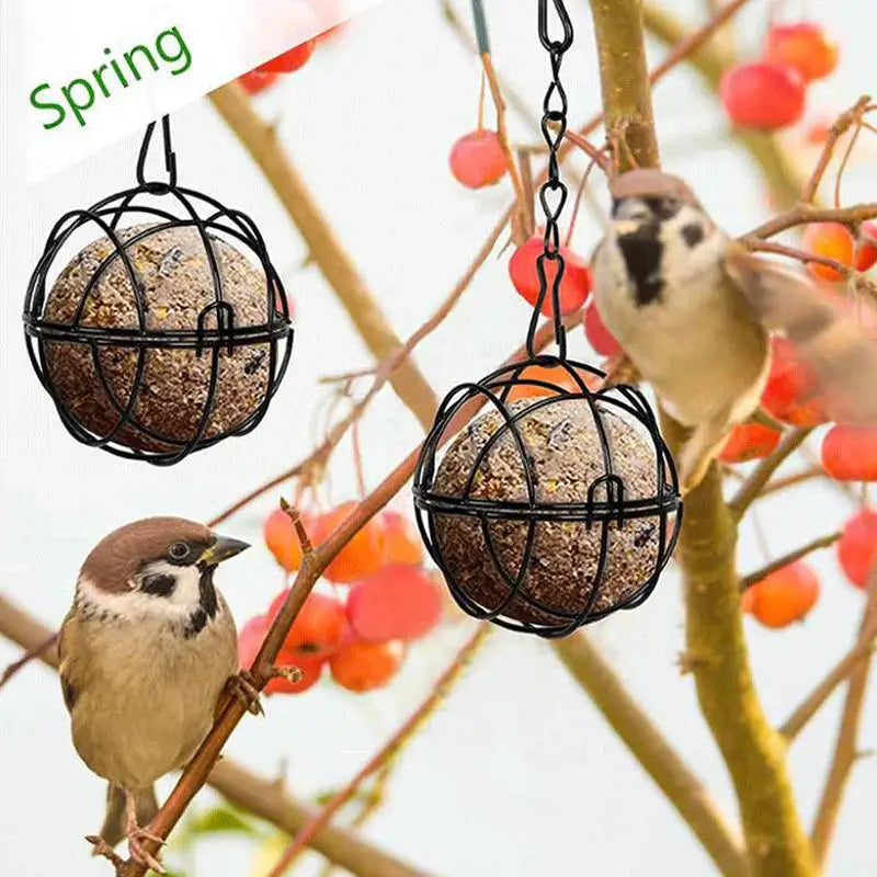 Squirrel Proof Hanging Bird Feeder with Chain – Fat Ball Hanging Bird Feeder Qme