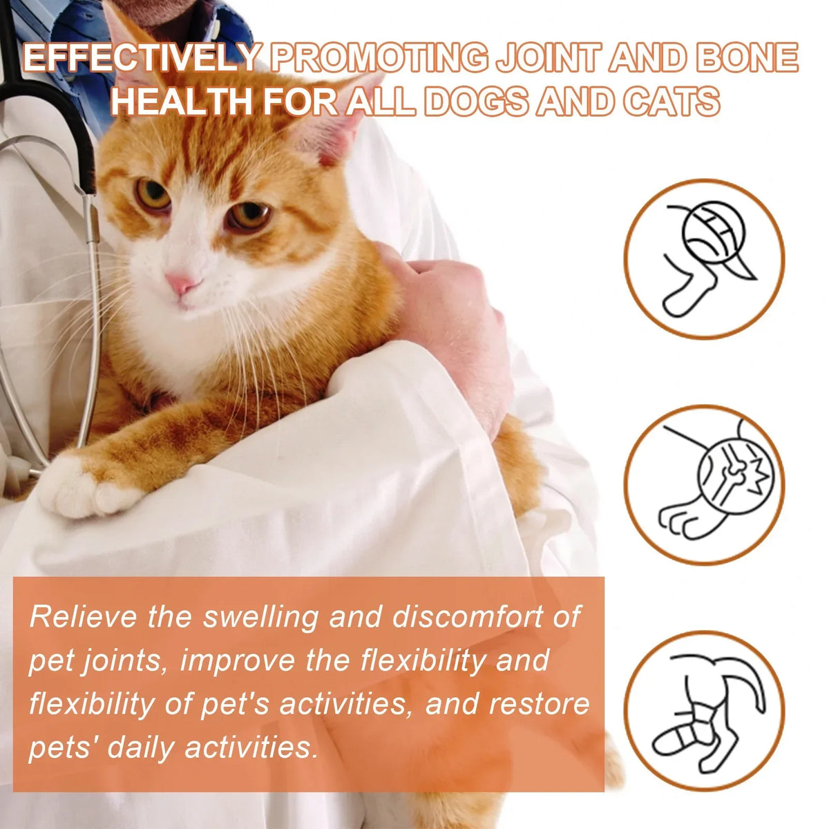 Pet Joint Support Spray for Dogs & Cats – Bone & Mobility Pet Joint Spray Qme