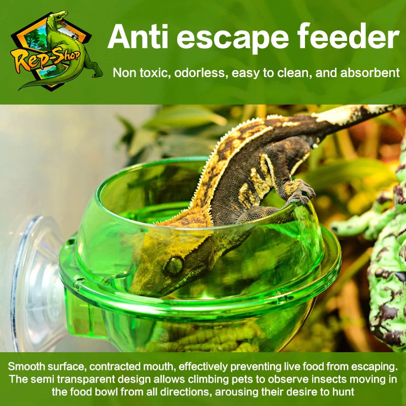 Reptile Anti-Escape Feeder Bowl – Suction Cup for Lizard & Gecko Reptile Feeder Bowl Qst