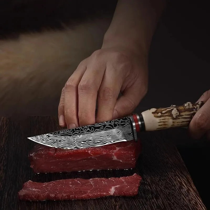 PLYS Outdoor Camping Knife – Sharp Stainless Steel Fruit & Meat Camping Knife Qst