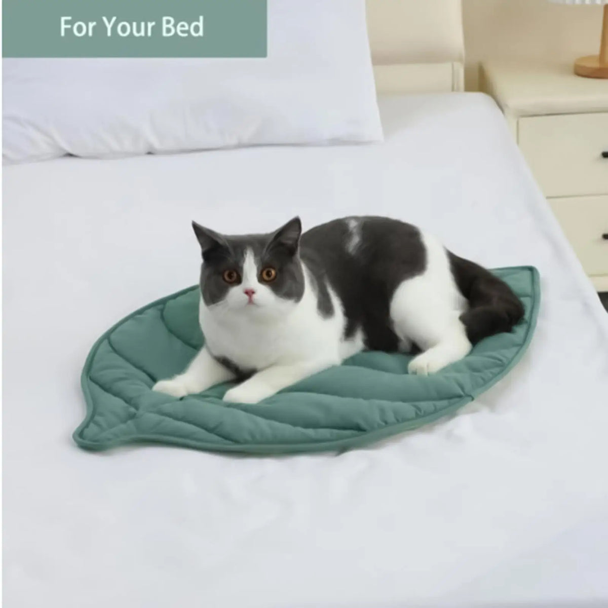Cooling Leaf-Shape Pet Mat – Non-Slip, Portable Dog & Cat Bed Pet Cooling Mat Qme