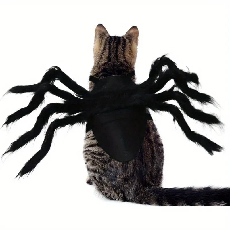 Halloween Spider Costume for Small Dogs & Cats – Black Pet Halloween Costume Qme