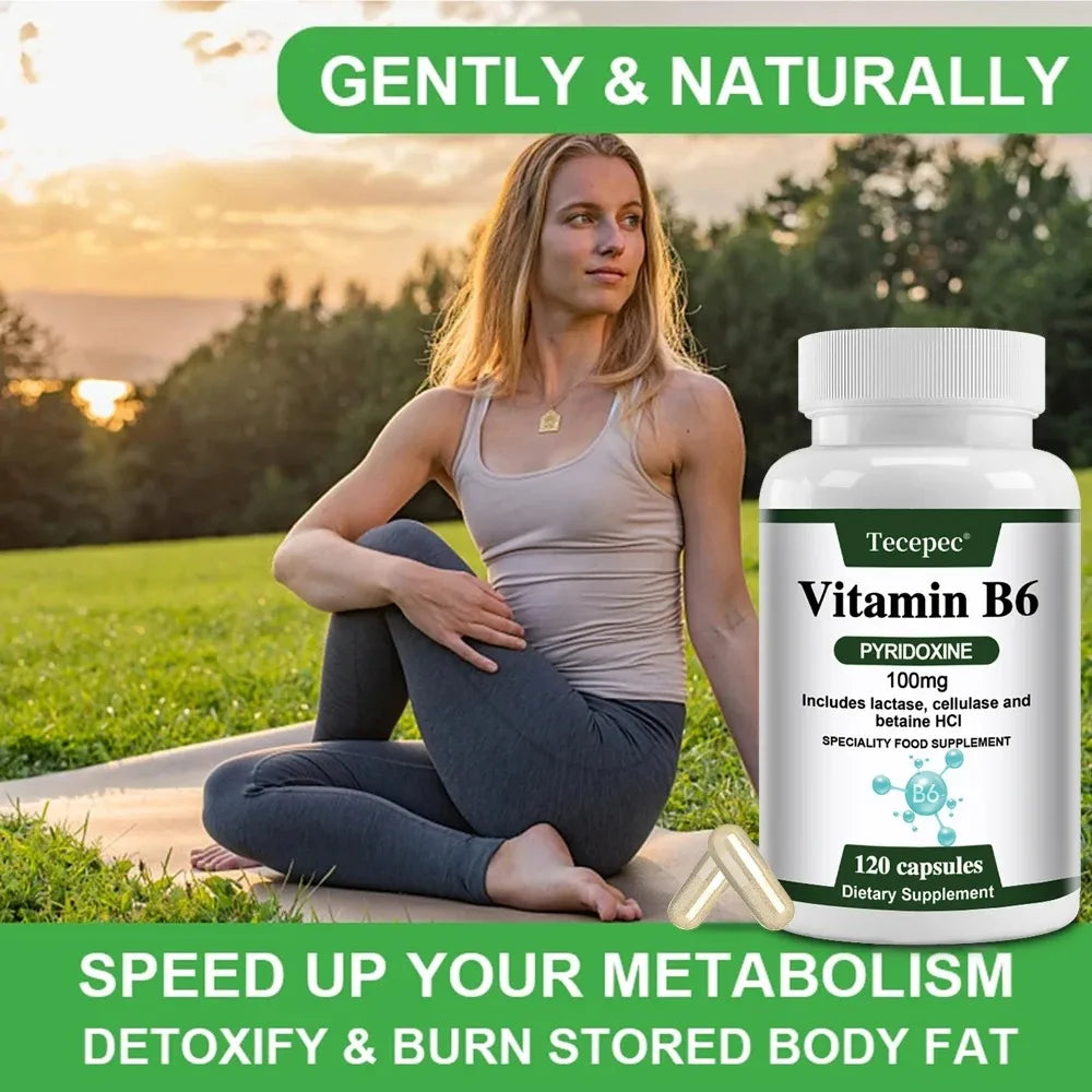 ZENVITALIZE Vitamin B6 Capsules – Non-GMO, Vegetarian Vitamin B6 Supplement Qst