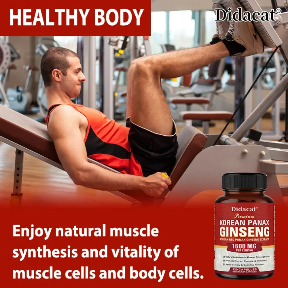 Korean Red Panax Ginseng Capsules – Energy & Focus Support Herbal Supplement Capsules Qst