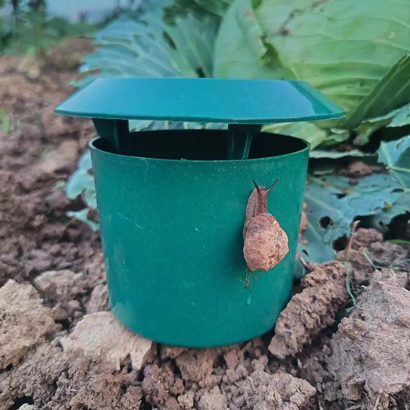 Eco-Friendly Snail & Slug Trap Cage – Garden Pest Catcher Garden Pest Trap Qme