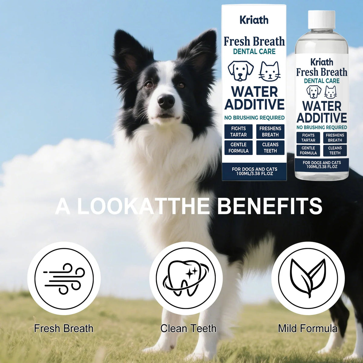 Drinkable Pet Mouthwash – Plaque & Tartar Control, Fresh Breath Pet Dental Additive Qme