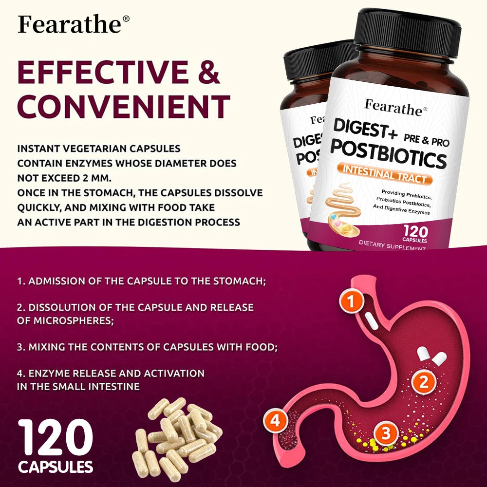 Digestive Enzymes Prebiotics & Probiotics Capsules – Gut Health Probiotic Supplement Qst