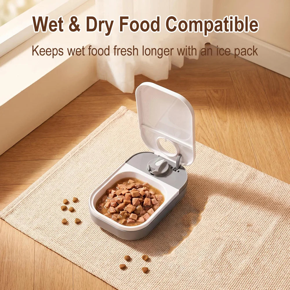 Automatic Pet Feeder Timed Dispenser for Cats & Small Dogs Automatic Pet Feeder Qst