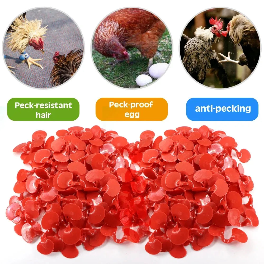 Peck-Resistant Chicken Goggles | Plastic Poultry Eye Protection Poultry Safety Goggles Qme