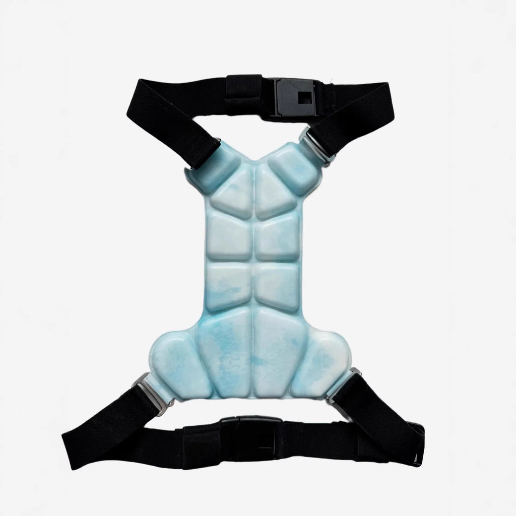 Dog Cooling Vest with PCM Ice Pad – Summer Heat Protection Dog Cooling Vest Qst Blue-LSize