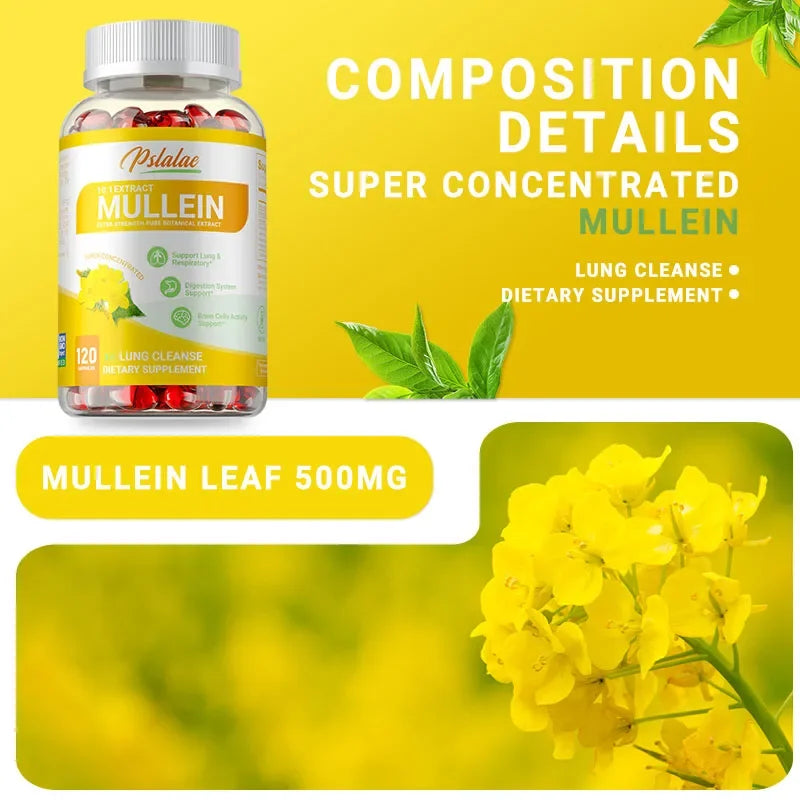 Mullein Leaf Extract Capsules – Antioxidant & Lung Support Herbal Supplement Qst