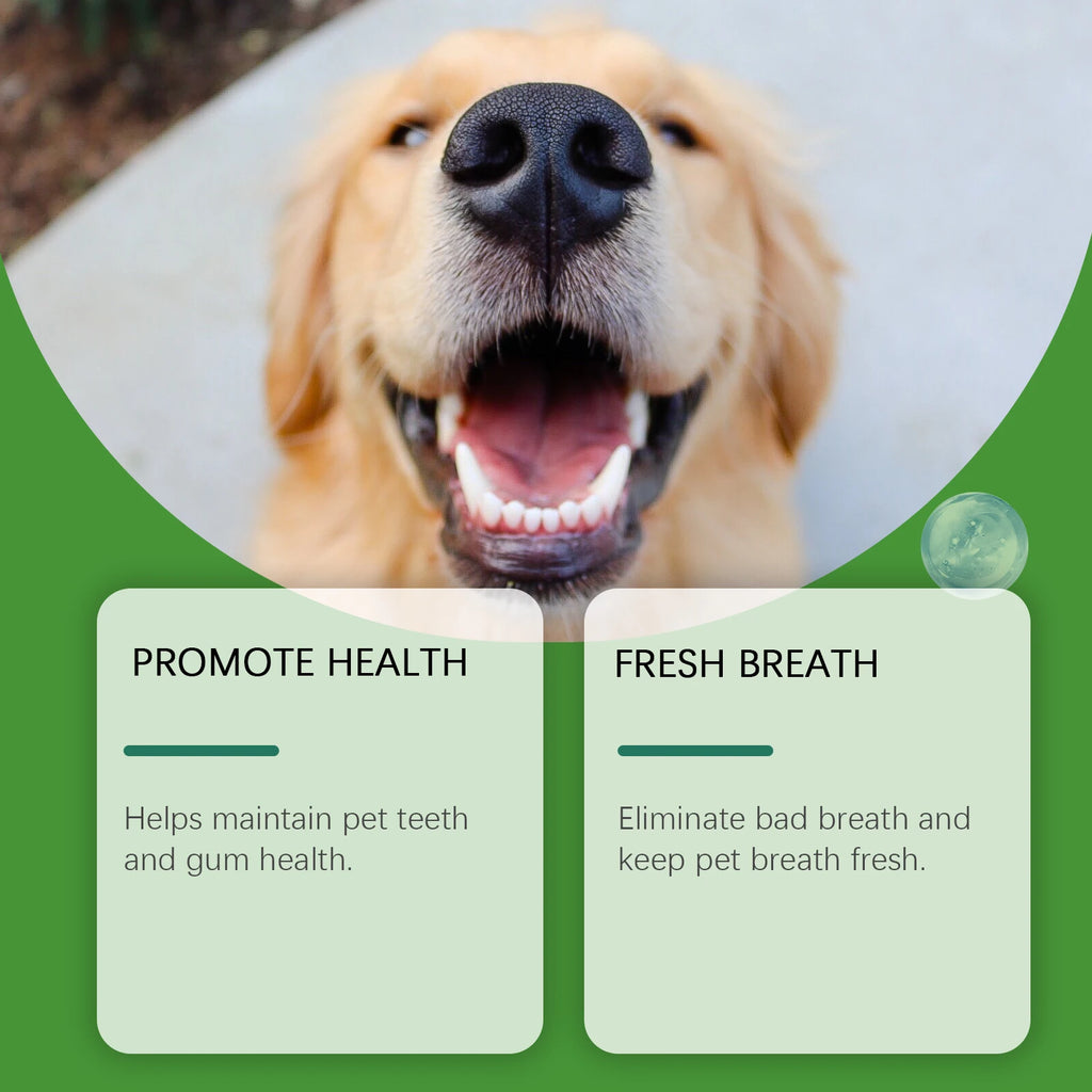 Yegbong Dog Dental Powder 150g – Tartar & Breath Care Pet Dental Powder Qst
