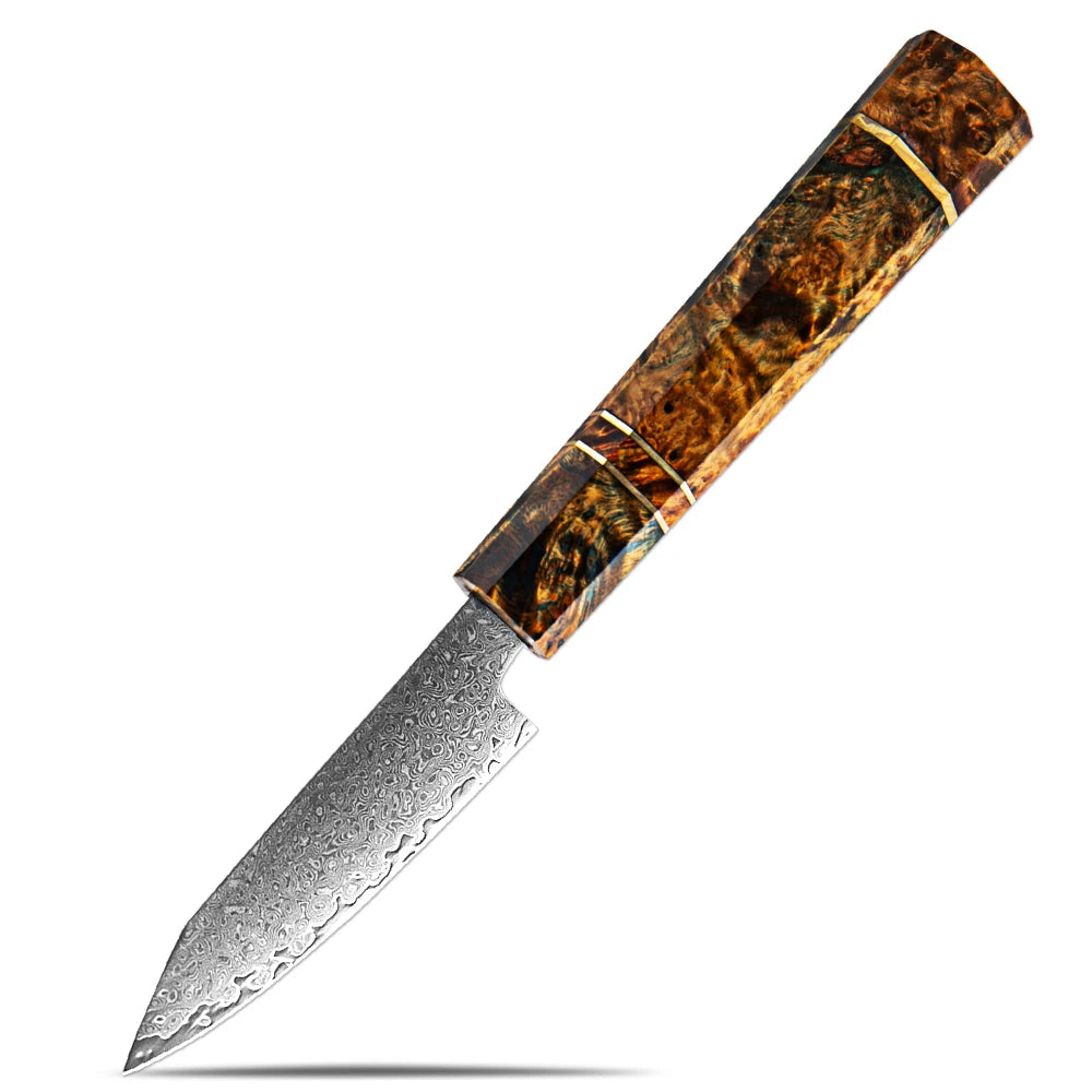 XITUO Damascus Steel Kitchen Knives Set – 1–7 Piece Kitchen Knife Set Qst Paring Knife