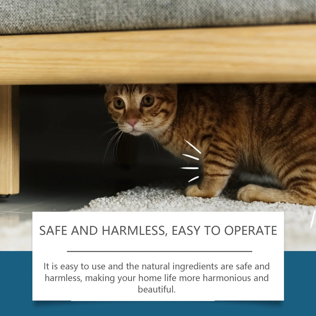 Cat Repellent Spray – Anti-Scratch & Furniture Protector Cat Deterrent Spray Qme