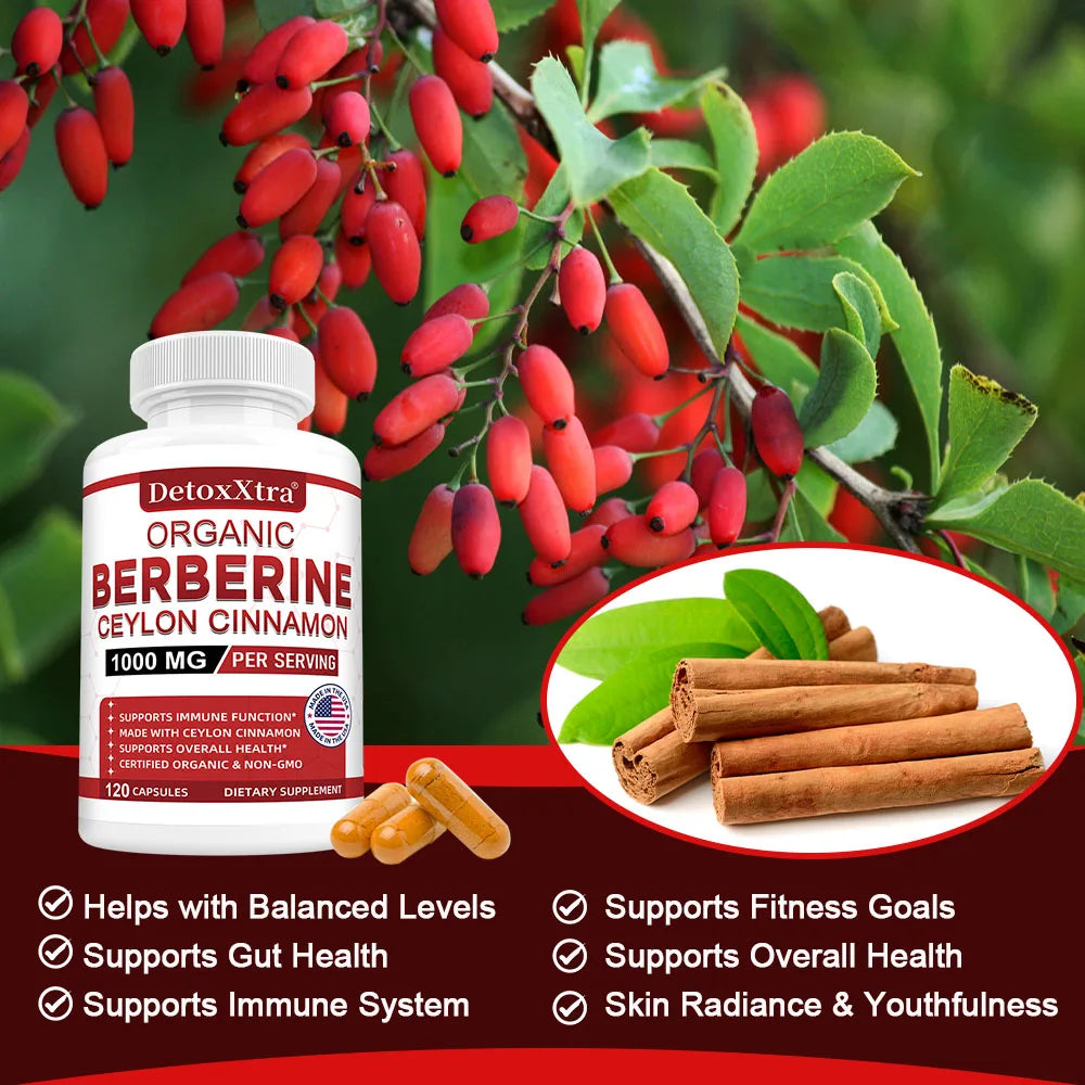 Berberine HCL 1000mg Ceylon Cinnamon Supplement | DETOXXTRA Herbal Supplement Qst