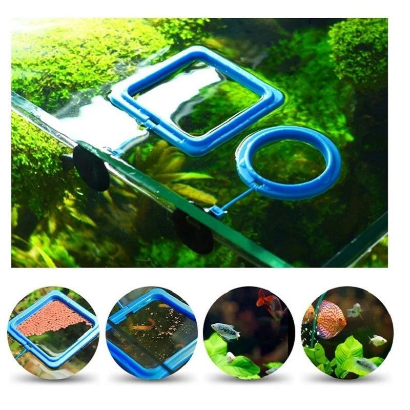 Aquarium Fish Feeding Ring – Floating Feeder for Fish Tanks Aquarium Feeding Ring Qme