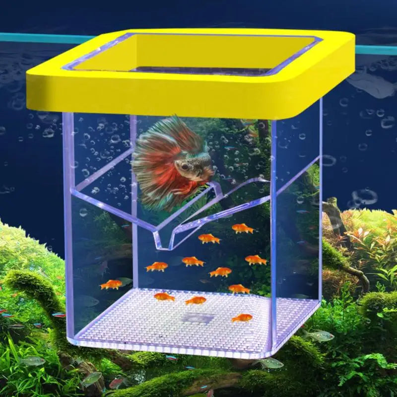 Transparent Floating Fish Breeding Isolation Box – Aquarium Fish Breeding Box Qst