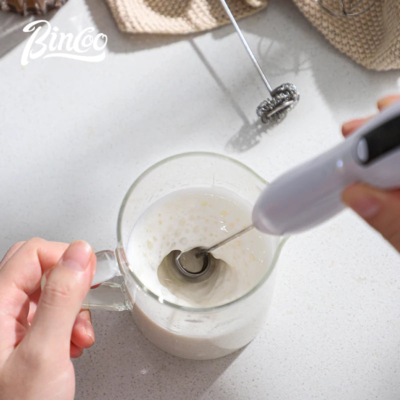 Bincoo Handheld Electric Milk Frother – Double-Head Mixer Electric Milk Frother Qst