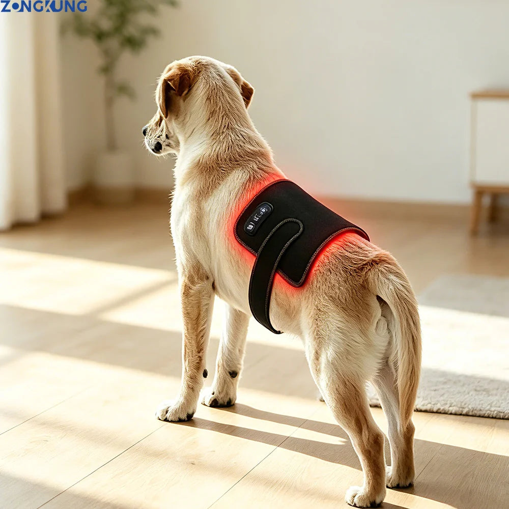 ZONGKUNG Red Light LED Therapy Device for Dogs & Pets Pet Therapy Device Qst