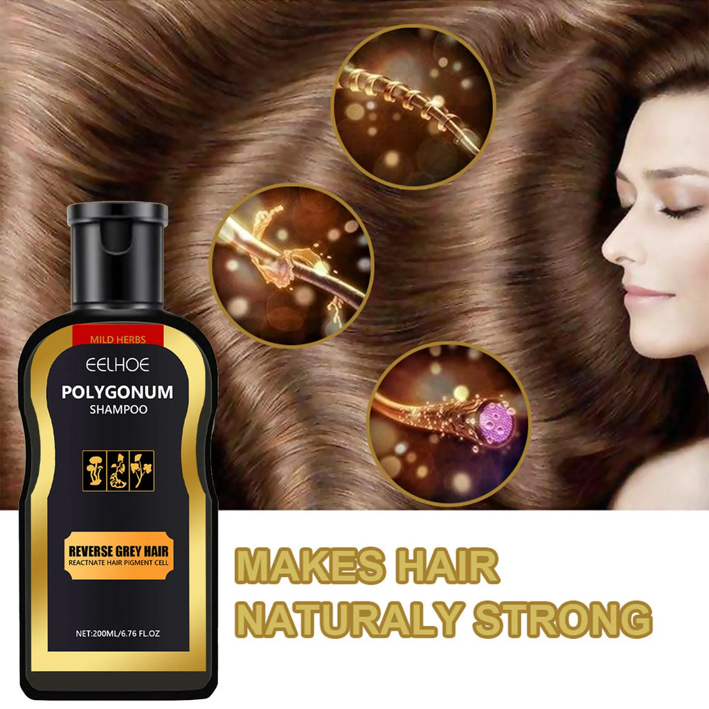 EELHOE Polygonum Multiflorum Herbal Darkening Shampoo 200ml Herbal Darkening Shampoo Qst