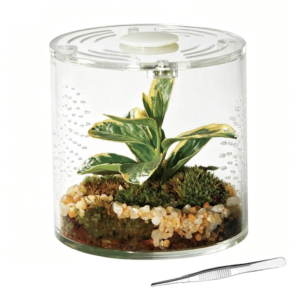 Clear Acrylic Tarantula Enclosure – Escape-Proof Ventilated Terrarium Invertebrate Terrarium Qme