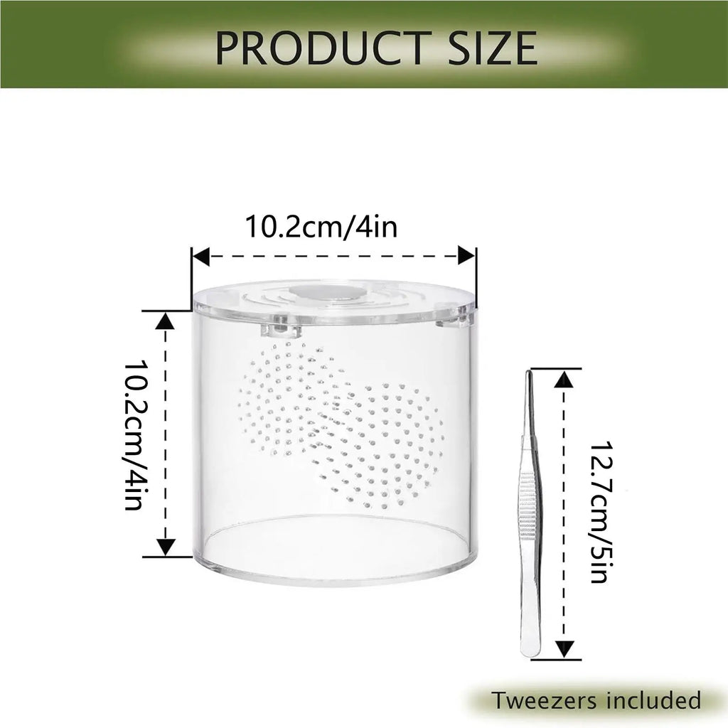Clear Acrylic Tarantula Enclosure – Escape-Proof Ventilated Terrarium Invertebrate Terrarium Qme