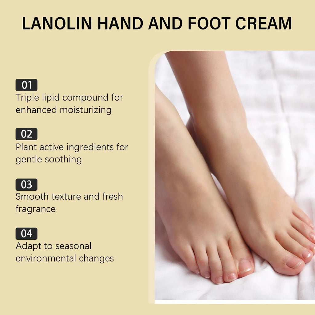 Lanolin Hand & Foot Cream – Deep Moisturizing & Exfoliating Hand & Foot Cream Qme