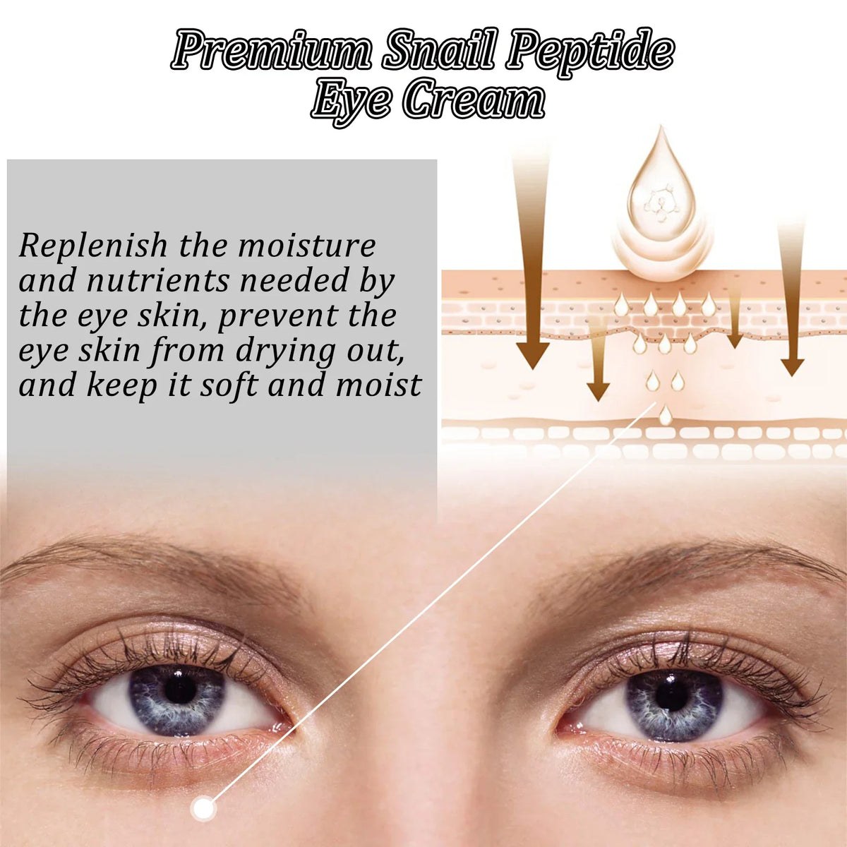 Snail Peptide Eye Cream – Firming, Brightening & De-Puffing Eye Cream Qme