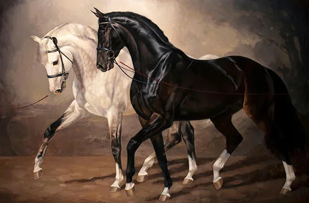 Modern Black & White Horse Canvas Wall Art – Unframed Print Canvas Wall Art Qst P1 30x40cm Unframed
